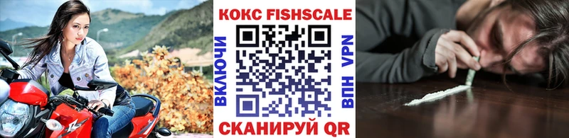 магазин продажи наркотиков  Майкоп  Кокаин Fish Scale 