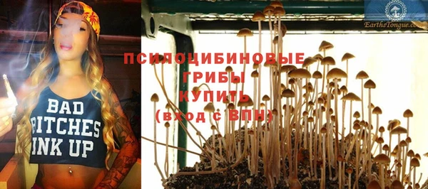 твердый Арсеньев