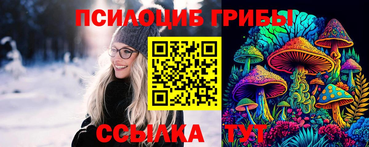Майкоп  Псилоцибиновые грибы Psilocybine cubensis  Вход с VPN  Псилоцибиновые грибы мухоморы 